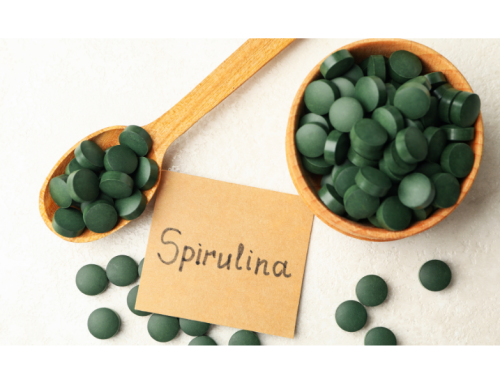 Мікроводорості