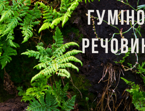 Гумінові речовини